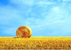 实盘配资排行榜 - 配资炒股排名,金华股票配资|股票配资怎么办理